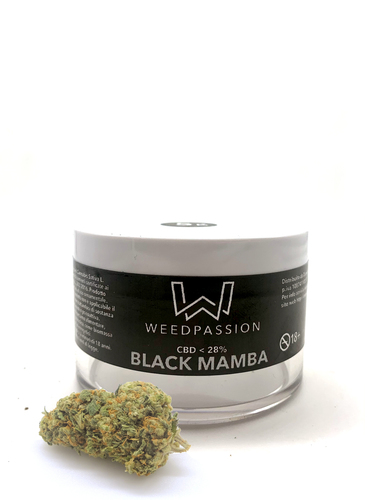 Weedpassion Black mamba 28% cbd barattolo