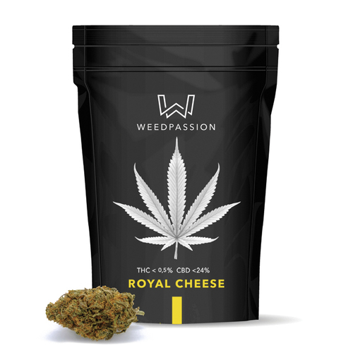 Weedpassion Royal cheese 24% cbd