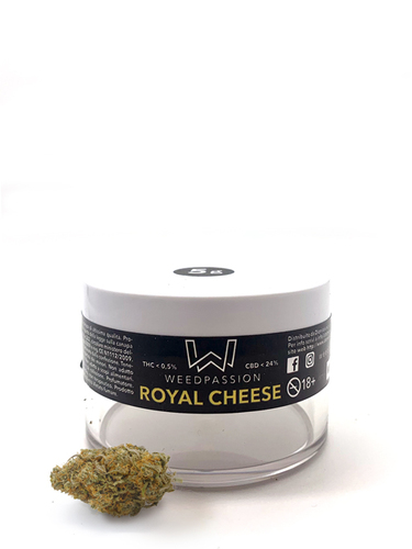 Weedpassion Royal Cheese 24% cbd Barattolo