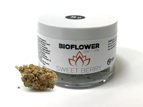 Bioflower Sweet Berry 26% cbd barattolo