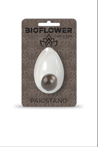 Bioflower Pakistano 30% cbd ovetto